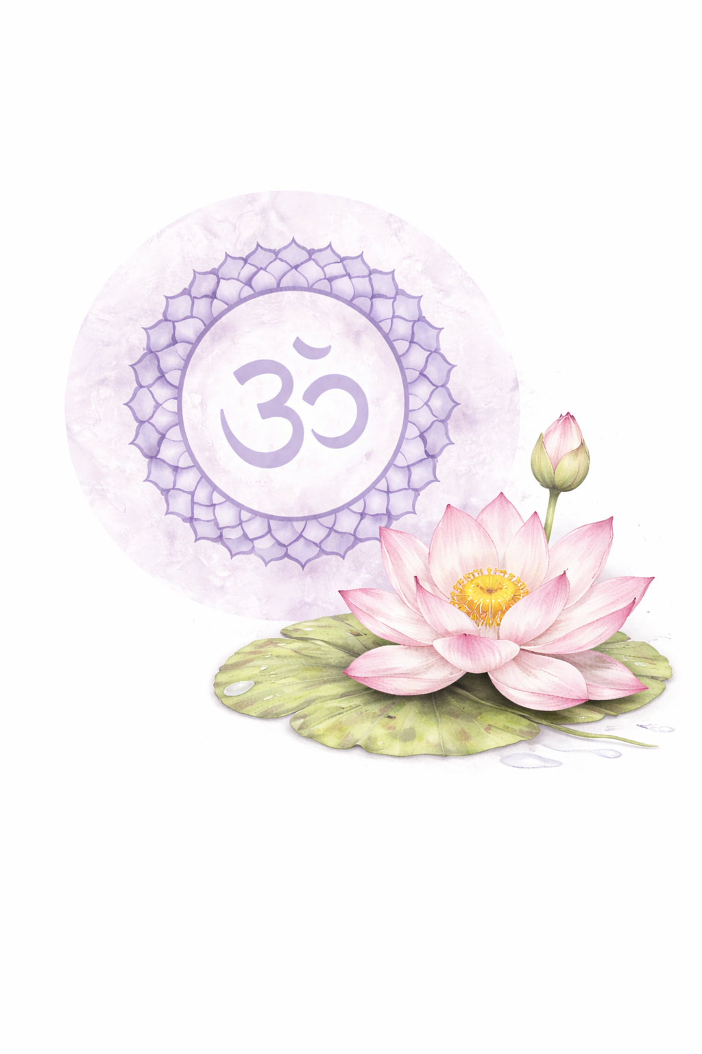 Chakra couronne – Lavande