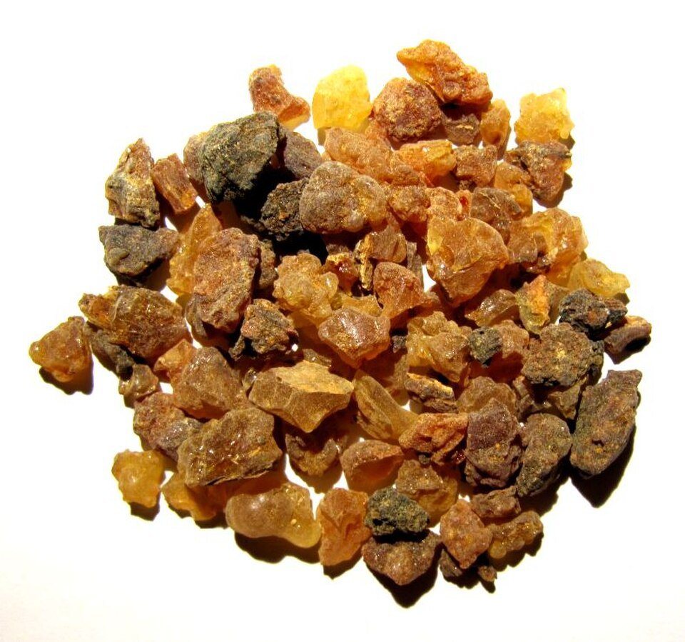 Résine de myrrhe (Commiphora myrrha) — fiche vibratoire Infusanté