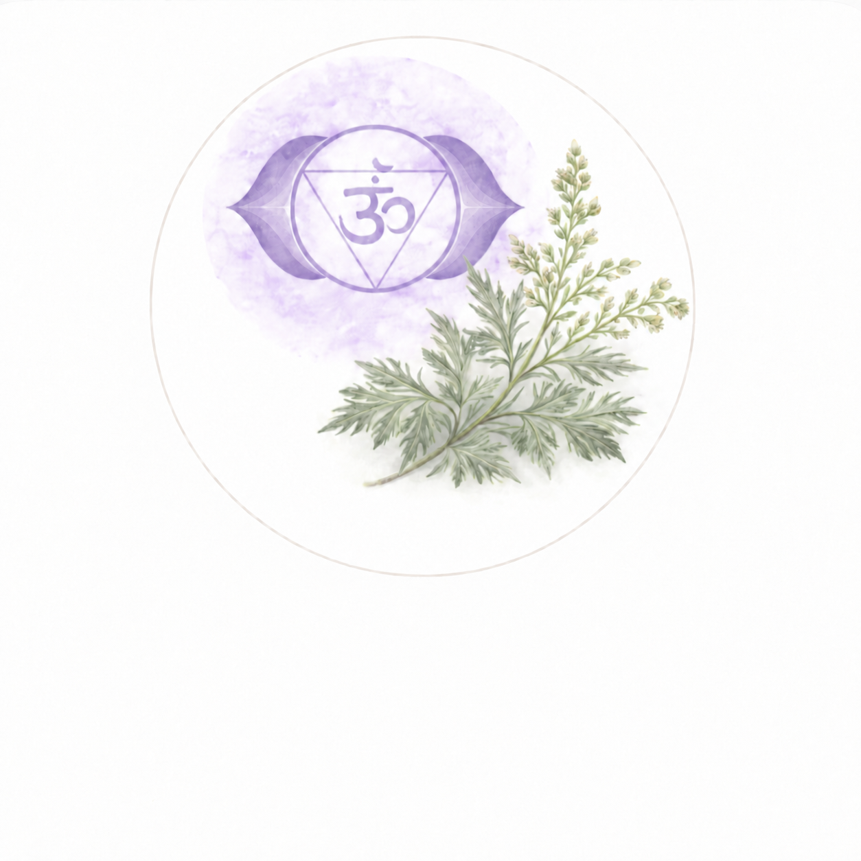 Chakra troisième œil – Armoise
